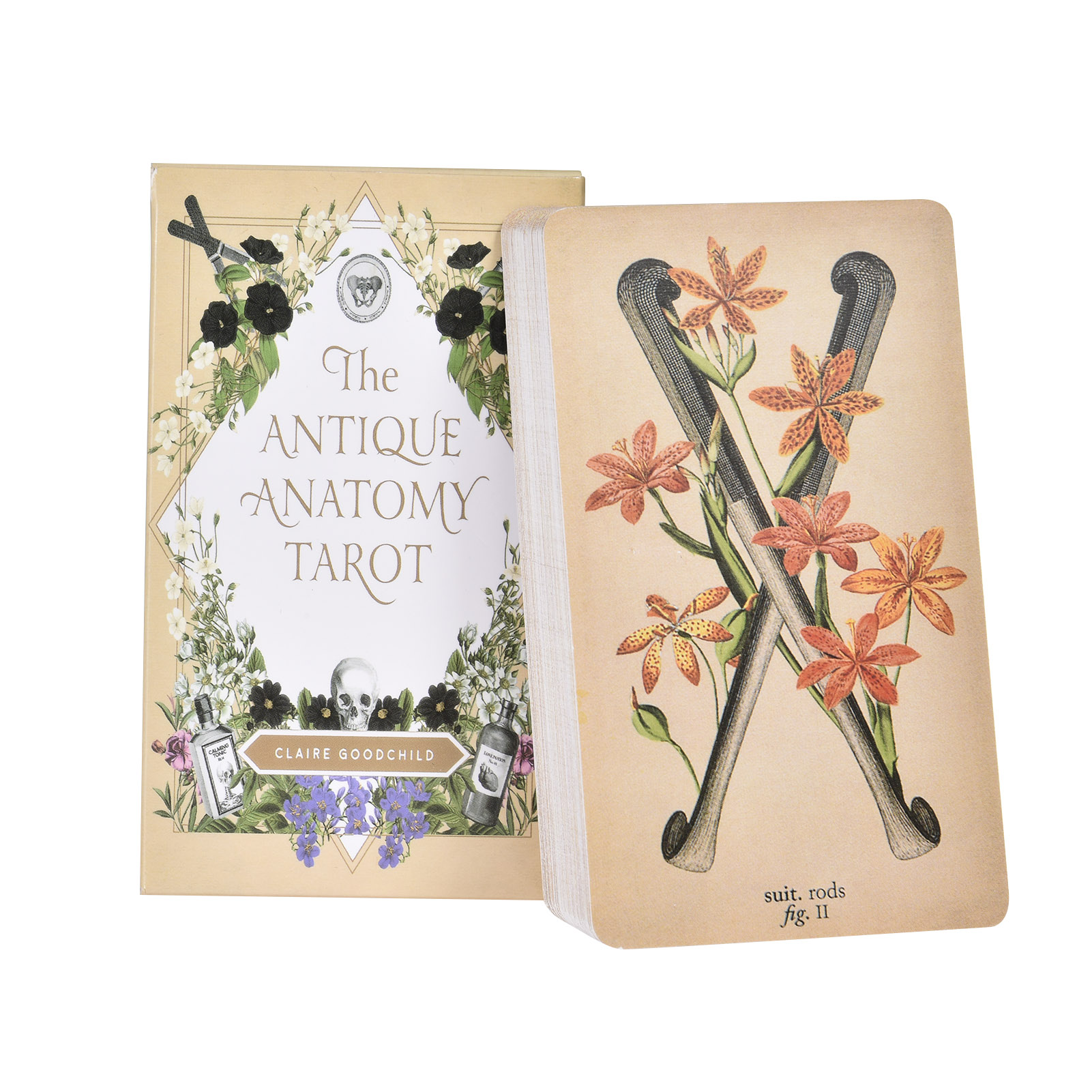 Board Game Pdf - Les Cartes de Tarot « Anatomy