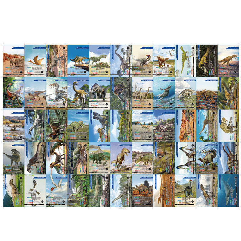 Carte de combat dinosaure angl - Board Game Zoo avis et prix
